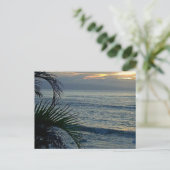 アロハ ポストカード (スタンド正面)