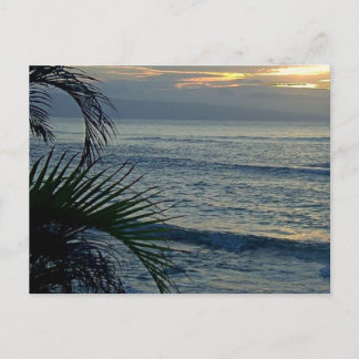 アロハ ポストカード