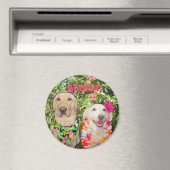 アロハ！ マグネット (インサイチュ (食洗機))