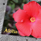 アロハfromハワイハワイアンバケーション ポストカード