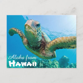アロハfrom Hawaii Honu Green Sea Turtle ポストカード