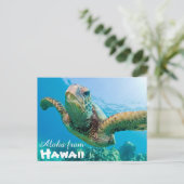 アロハfrom Hawaii Honu Green Sea Turtle ポストカード (スタンド正面)