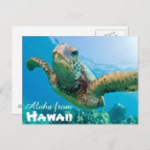 アロハfrom Hawaii Honu Green Sea Turtle ポストカード (正面/裏面)