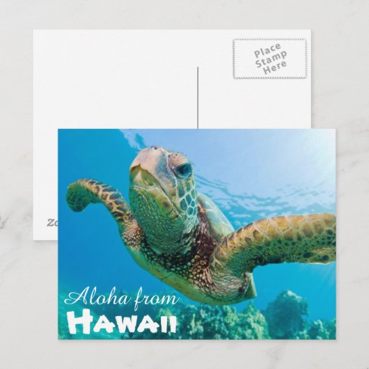 アロハfrom Hawaii Honu Green Sea Turtle ポストカード (正面/裏面)