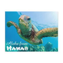 アロハfrom Hawaii Honu Green Sea Turtle