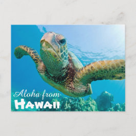 アロハfrom Hawaii Honu Green Sea Turtle ポストカード