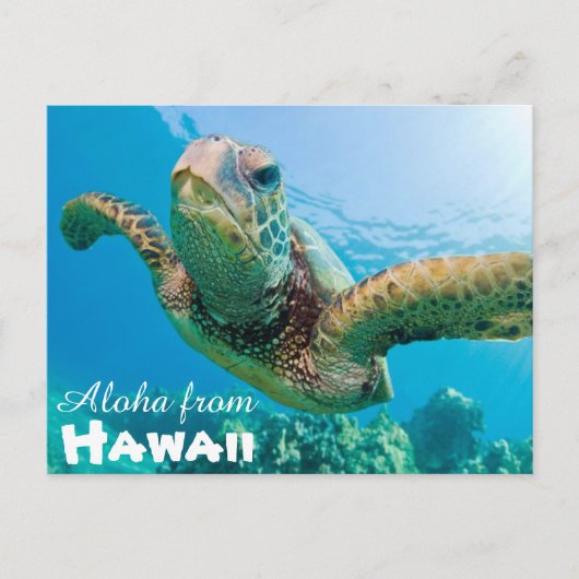 アロハfrom Hawaii Honu Green Sea Turtle ポストカード (正面)