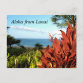 アロハfrom Lanai Hawaii ポストカード (正面)