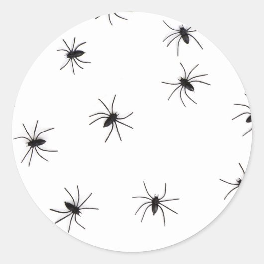 アロバースパイダースハロウィーン ラウンドシール (正面)