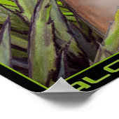 アロベナス ポスター (角)