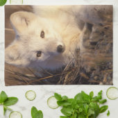 アロペックス・ラゴプス キッチンタオル (折り畳み)