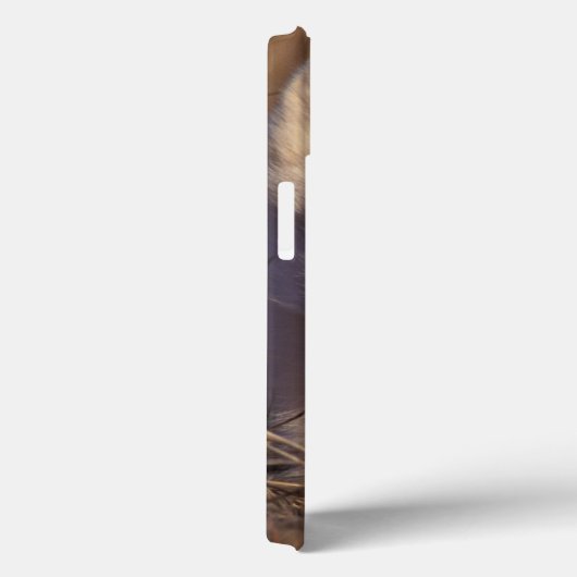 アロペックス・ラゴプス Case-Mate iPhoneケース (裏面 / 右)