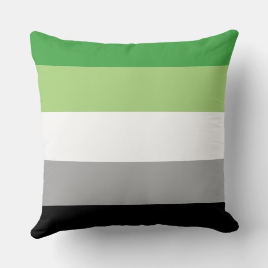 アロマティックプライドフラグデザイン装飾用クッション クッション (裏面)