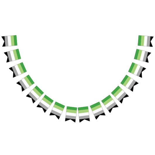 アロマティックプライド国旗 バンティングフラッグ (全)