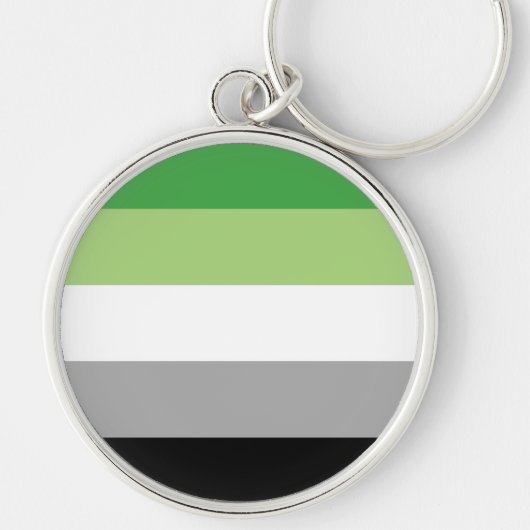 アロマティックプライド国旗LGBTQ キーホルダー (正面)
