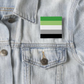アロマティックプライド国旗LGBTQ 缶バッジ (インサイチュ)