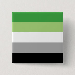 アロマティックプライド国旗LGBTQ 缶バッジ