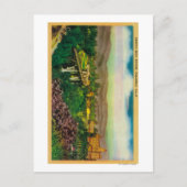 アロヨセコブリッジパサデナ(カリフォルニア州) ポストカード (正面)