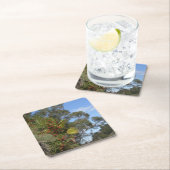 アロヨ・セコ・トレイル沿いのトヨンズ スクエアペーパーコースター (インサイチュ)