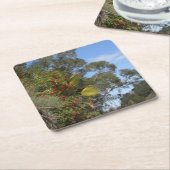アロヨ・セコ・トレイル沿いのトヨンズ スクエアペーパーコースター (アングル)