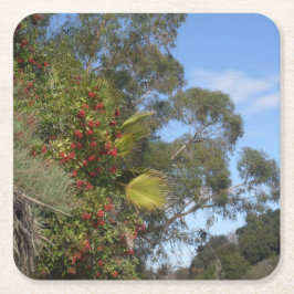 アロヨ・セコ・トレイル沿いのトヨンズ スクエアペーパーコースター