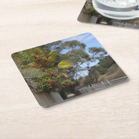 アロヨ・セコ・トレイル沿いのトヨンズ スクエアペーパーコースター (アングル)