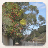 アロヨ・セコ・トレイル沿いのトヨンズ スクエアペーパーコースター (正面)