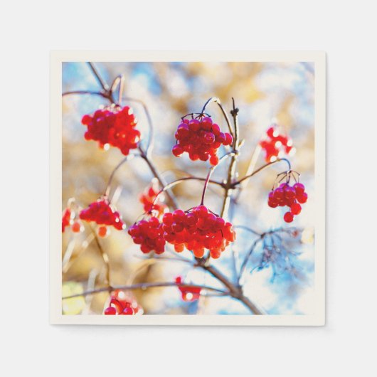 アローウッドベリー スタンダードカクテルナプキン (正面)