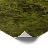 アローウッド国立湿地帯の上の日の出 ポスター (角)