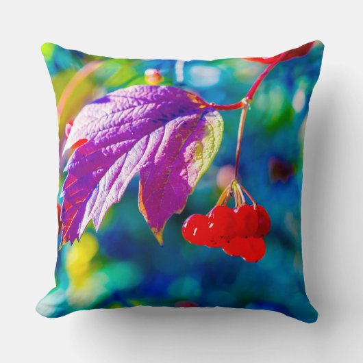 アローウッド美しい クッション (正面)