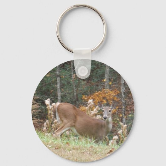 アロードGA湖の秋の鹿 キーホルダー (正面)