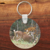 アロードGA湖の秋の鹿 キーホルダー (正面)