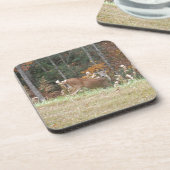 アロードGA湖の秋の鹿 コースター (左側)