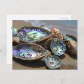 アワビのシェルのビーチ ポストカード (正面/裏面)