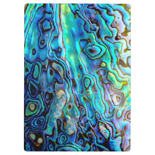 アワビの貝 クリップボード (裏面)