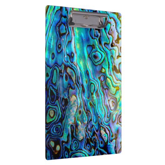 アワビの貝 クリップボード (右)