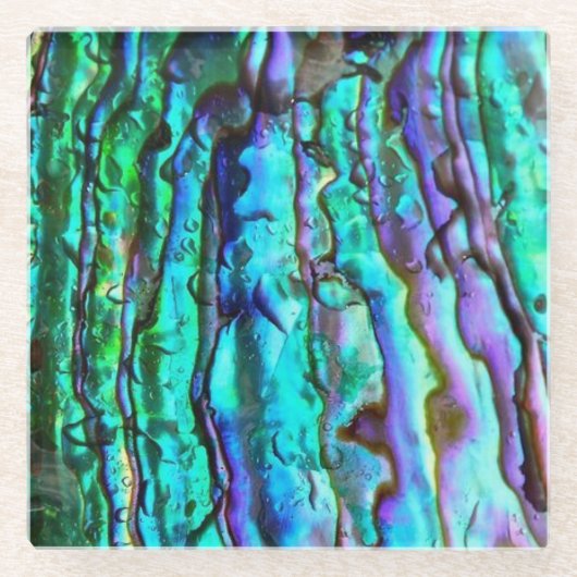 アワビシーシェルグラスコースター ガラスコースター (正面)