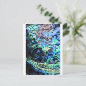 アワビ桐の殻 ポストカード (スタンド正面)