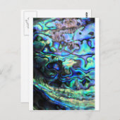 アワビ桐の殻 ポストカード (正面/裏面)