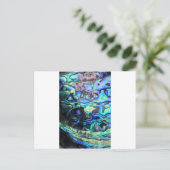 アワビ桐の殻 ポストカード (スタンド正面)