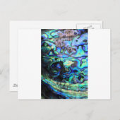 アワビ桐の殻 ポストカード (正面/裏面)