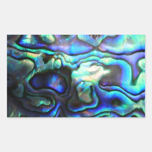 アワビ桐の殻 長方形シール (正面)