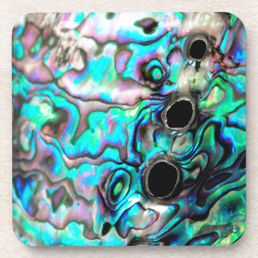 アワビ貝殻自然詳細 コースター (正面)