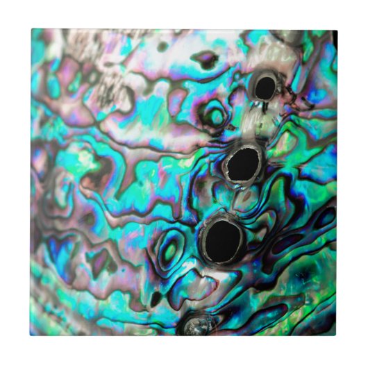 アワビ貝殻自然詳細 タイル (正面)