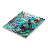 アワビ貝殻自然詳細 タイル (側面)