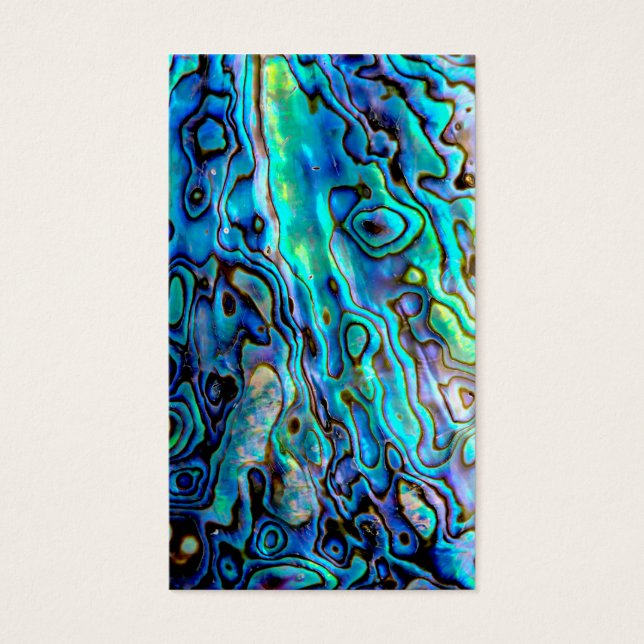 アワビ貝 (正面)