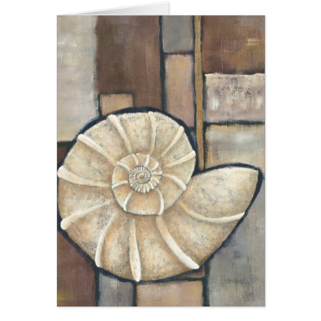 アワビ貝 (正面)