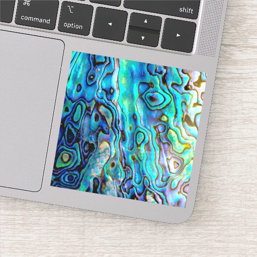 アワビ貝 シール (詳細)