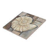 アワビ貝 タイル (側面)