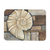 アワビ貝 マグネット (横)